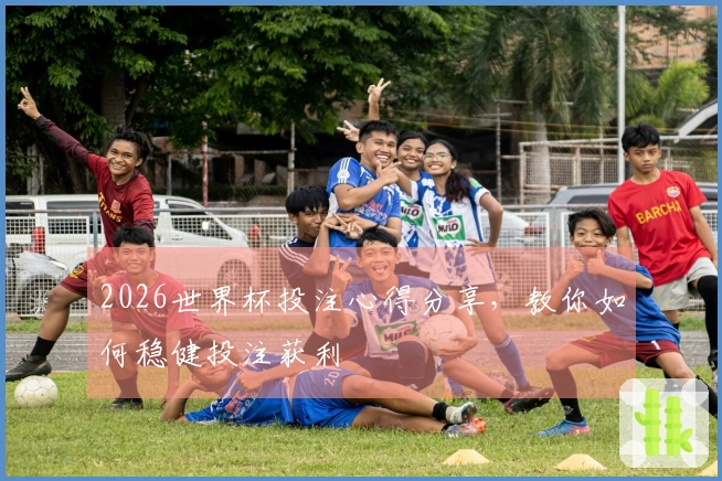 2026世界杯投注心得分享，教你如何稳健投注获利