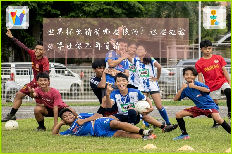 世界杯竞猜有哪些技巧？这些经验分享让你不再盲猜