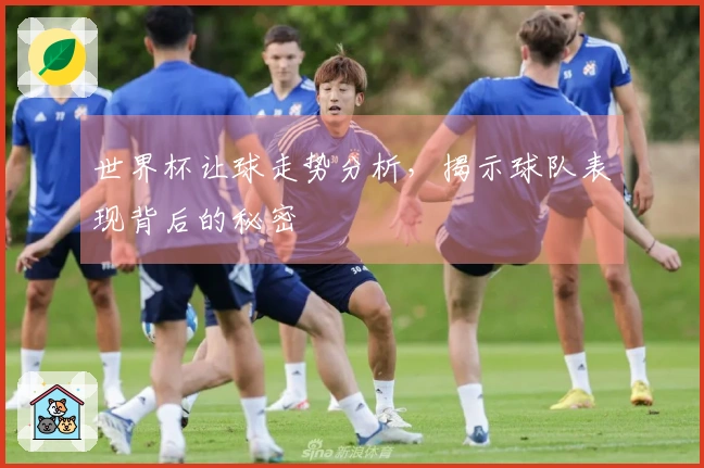 世界杯让球走势分析，揭示球队表现背后的秘密