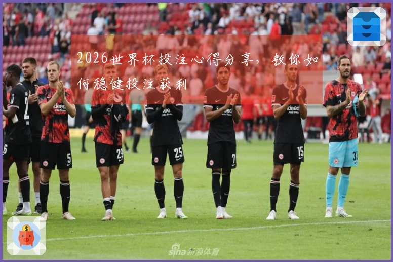 2026世界杯投注心得分享，教你如何稳健投注获利