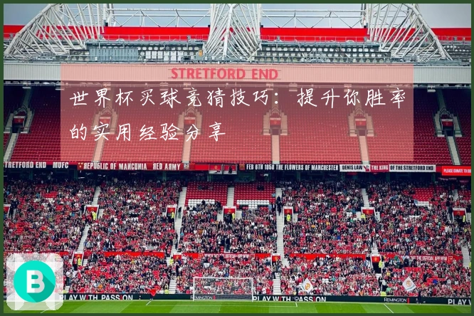 世界杯买球竞猜技巧：提升你胜率的实用经验分享